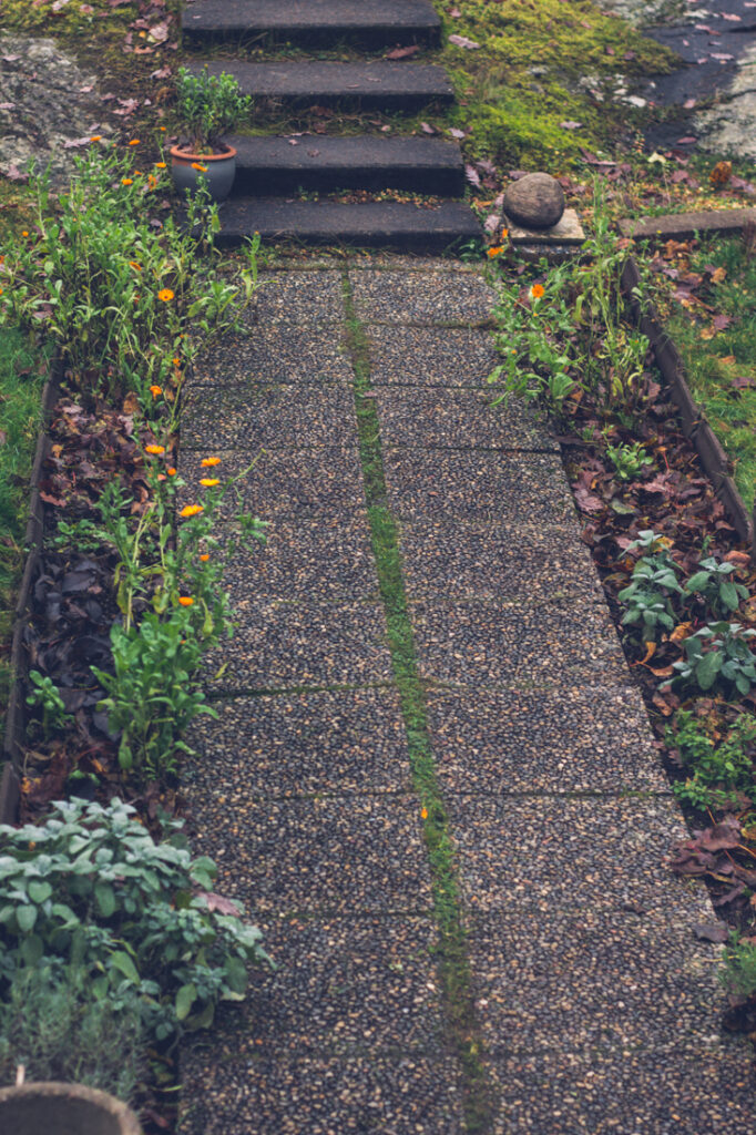 Höst i örtagården. Min örtträdgård, eller kryddland, är rabatterna längs trädgårdsgången.