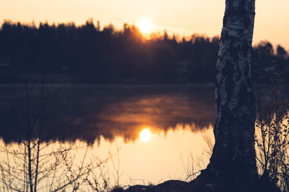 Fotografera soluppgång kl 05 i maj månad vid sjön Mjörn, Lerums Kommun. Foto Johanna Ene 2021.