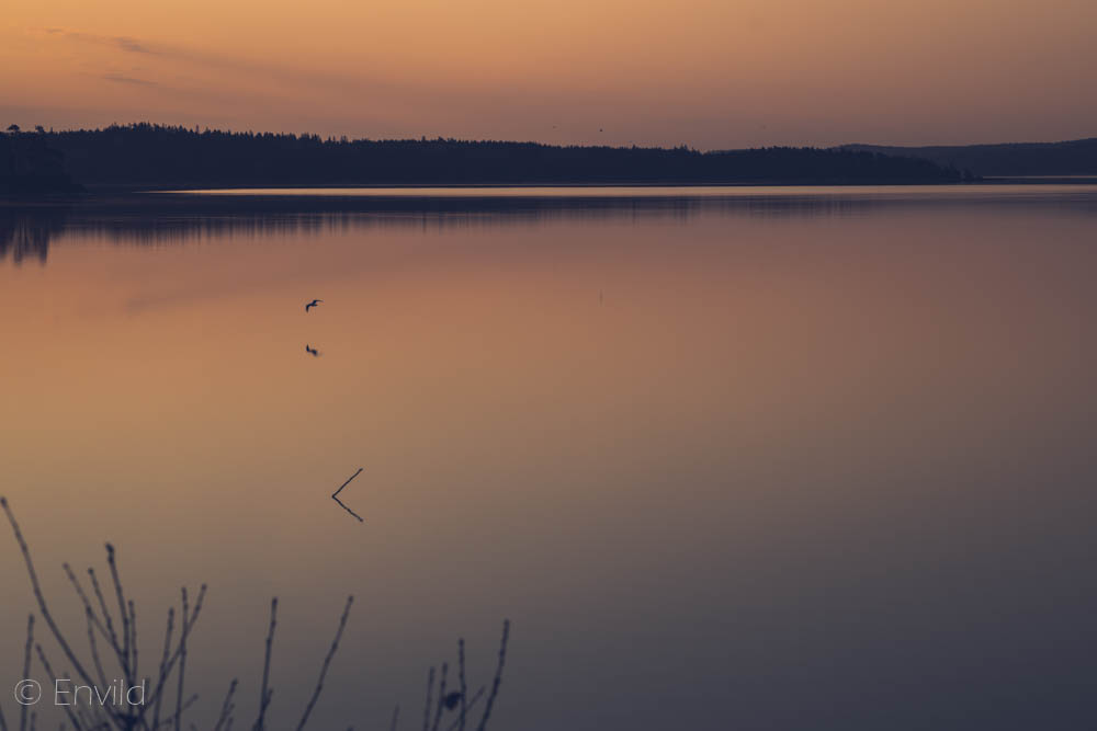 Soluppgång kl 05 i maj månad vid sjön Mjörn, Lerums Kommun. Foto Johanna Ene 2021.